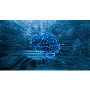 Build 75 Powerful Data Science & Machine Learning Project…