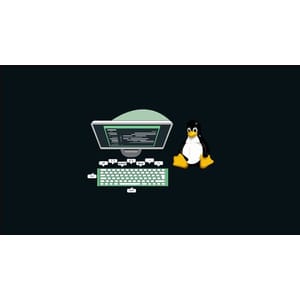 Automate the Boring Stuff with Bash 2024-3 2026
