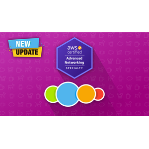 AWS Certified Advanced Networking | Complete Course 2026