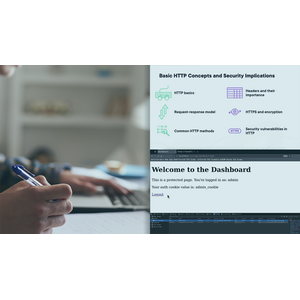 Bug Bounty Basics 2024-11 | Complete Course 2026