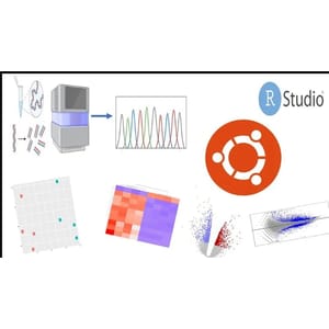 Learn Bulk RNA-Seq Data Analysis From Scratch 2025-5 2026
