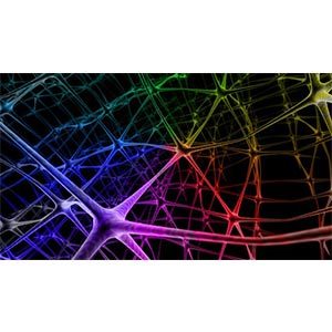 Convolutional Neural Networks in Python 2025-11 2026