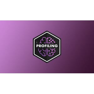 Data Profiling 2025-10 | Complete Course 2026