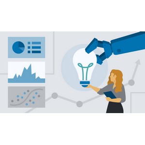 Learning AI for Business Analysis 2024-12 2026