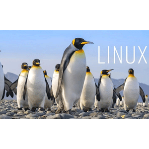 The complete Linux course you need to land a job in IT 20…