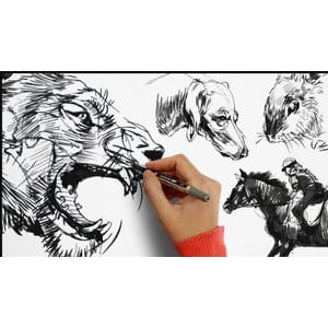 Masterclass of Animal Drawing | Complete Course 2026