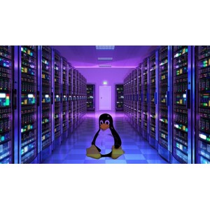 Mastering Linux Automation with Shell Scripts 2025-3 2026