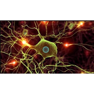 Modern Deep Learning in Python 2025-11 2026