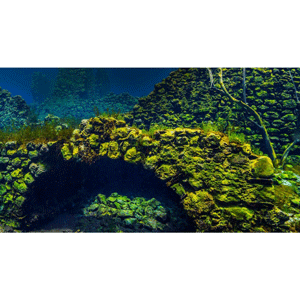 Mysteries of the Deep 2025-4 | Complete Course 2026