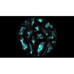 Network Analytics and Visualization in Python 2025-2 2026