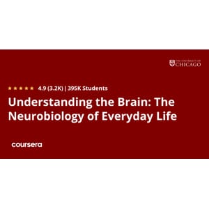 The Neurobiology of Everyday Life 2025-9 2026