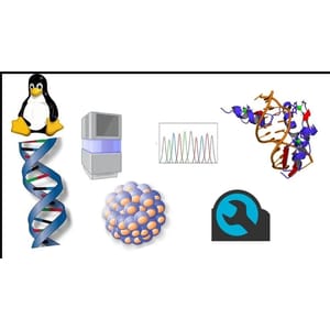 Learn NGS Data Analysis From Scratch 2025-6 2026