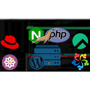 The Perfect NGINX Server | Complete Course 2026