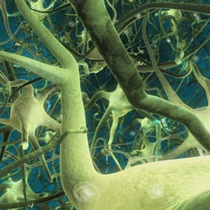 Recurrent Neural Networks in Python 2025-11 2026