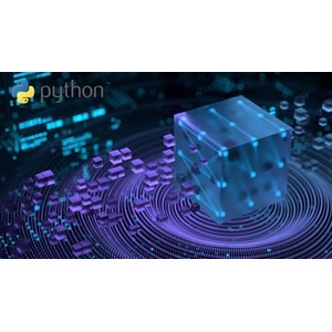 System Simulation Projects with Python 2025-9 2026