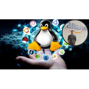 Master the Terminal Without Theory 2025-5 2026