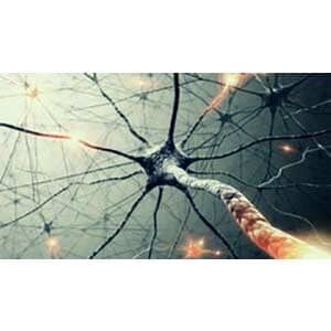 Unsupervised Deep Learning in Python 2025-11 2026